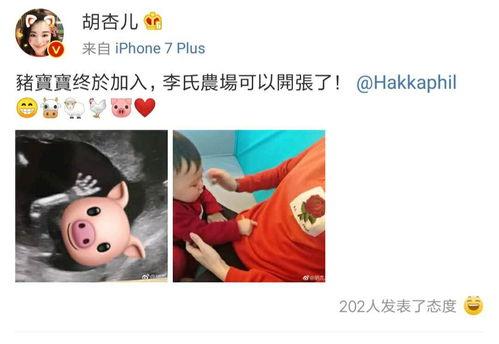 大琪爆料二胎了吗视频,独家视频揭秘幸福瞬间  第1张